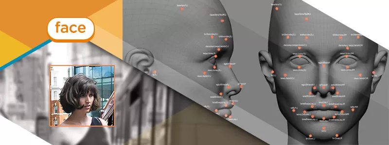 Face-Интеллект Face-Интеллект